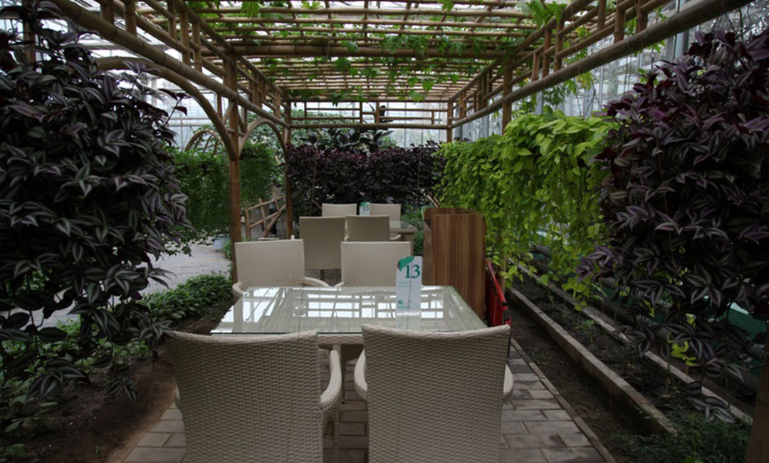 天门康柏宇品牌文案撰写案例